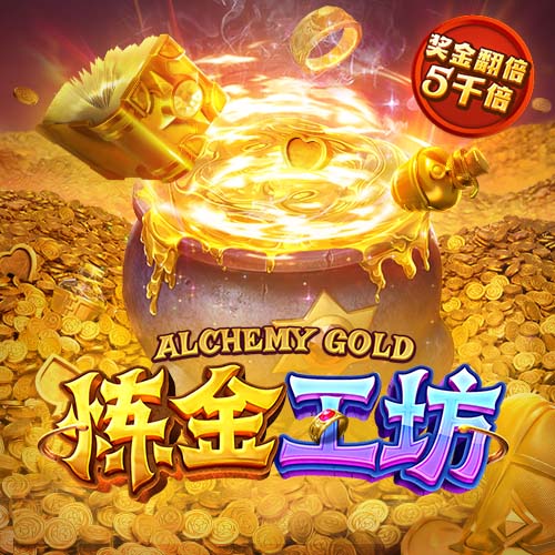 龙虎棋牌讲解